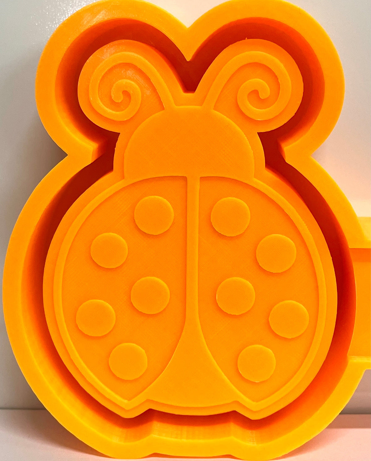 Lady Bug Mold