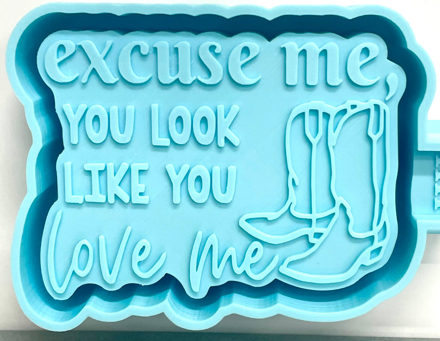 Excuse Me You Look Like You Love Me Option 2 Mold