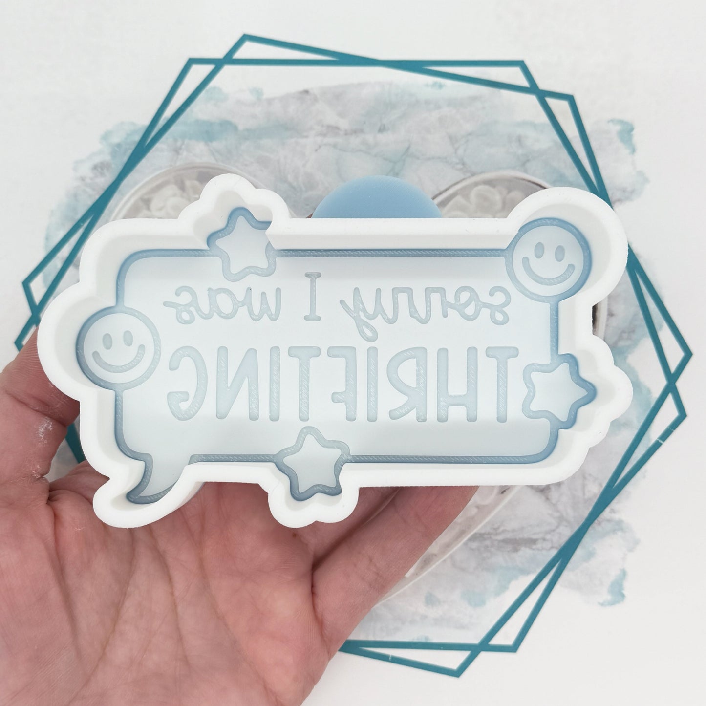 Sorry - Thrifting Freshie Mold