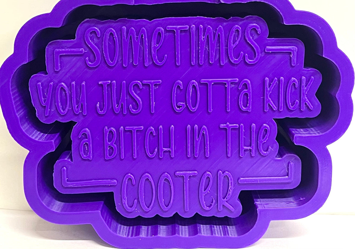 Sometimes You Just Gotta Kick A Bitch In The Cooter Mold