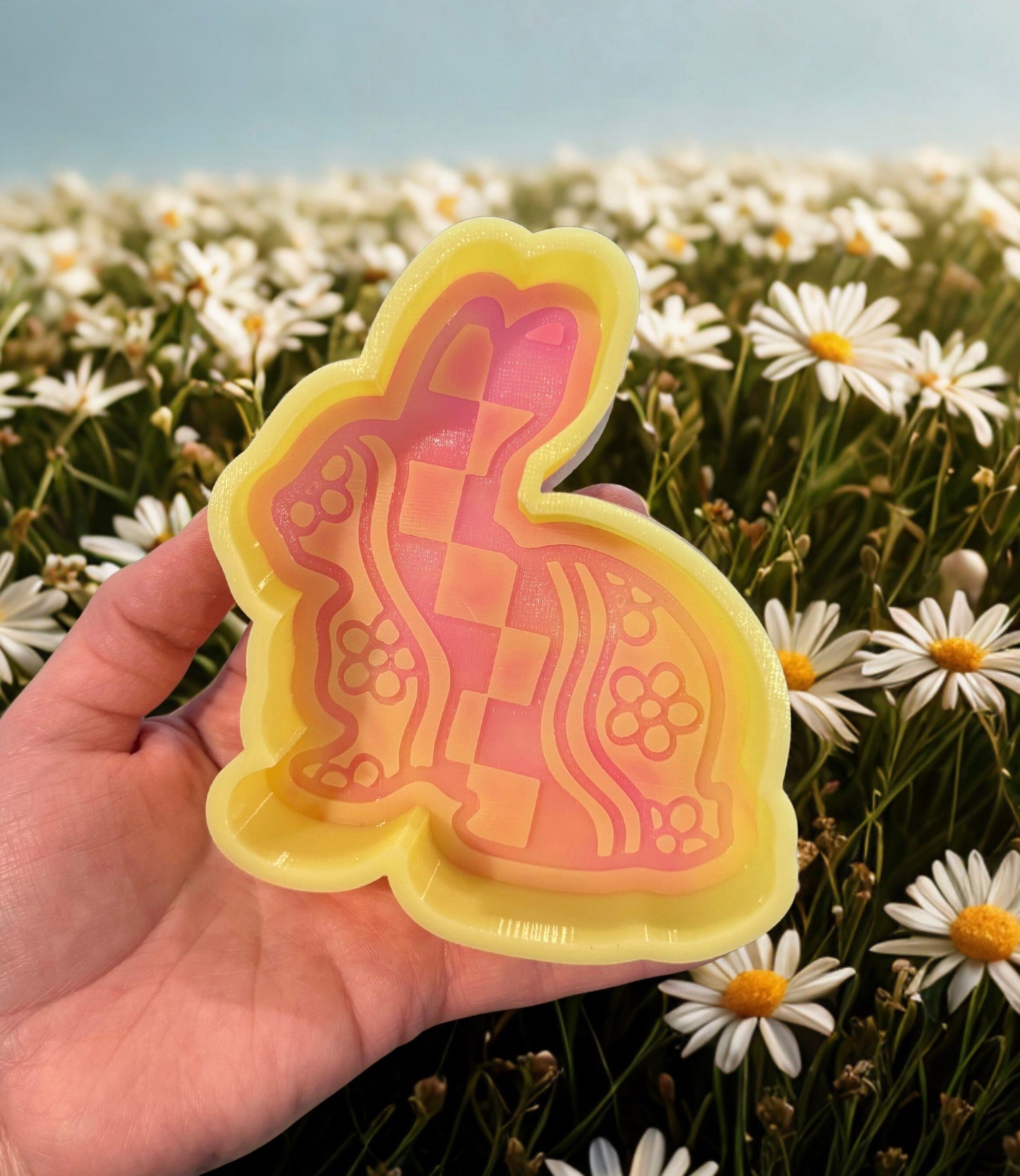 Bunny Groovy