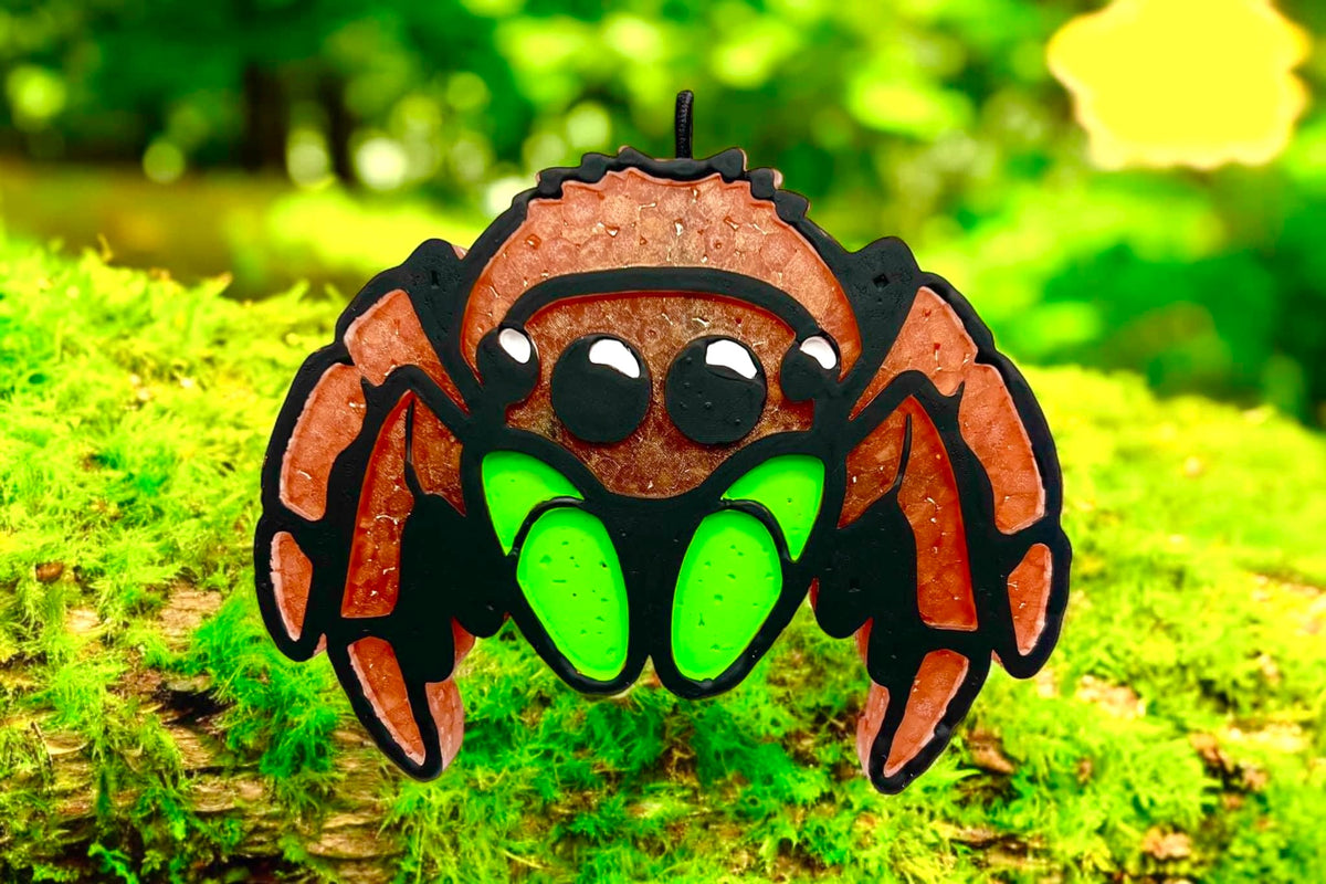 Creepy Jumping Spider Mold