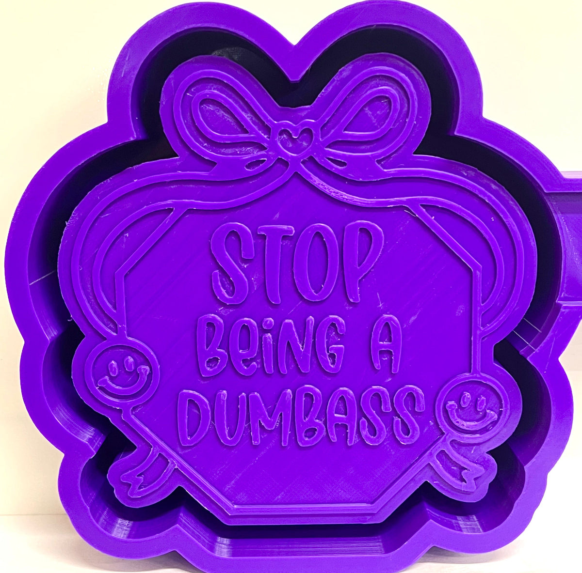 Stop Being A Dumbass Mold