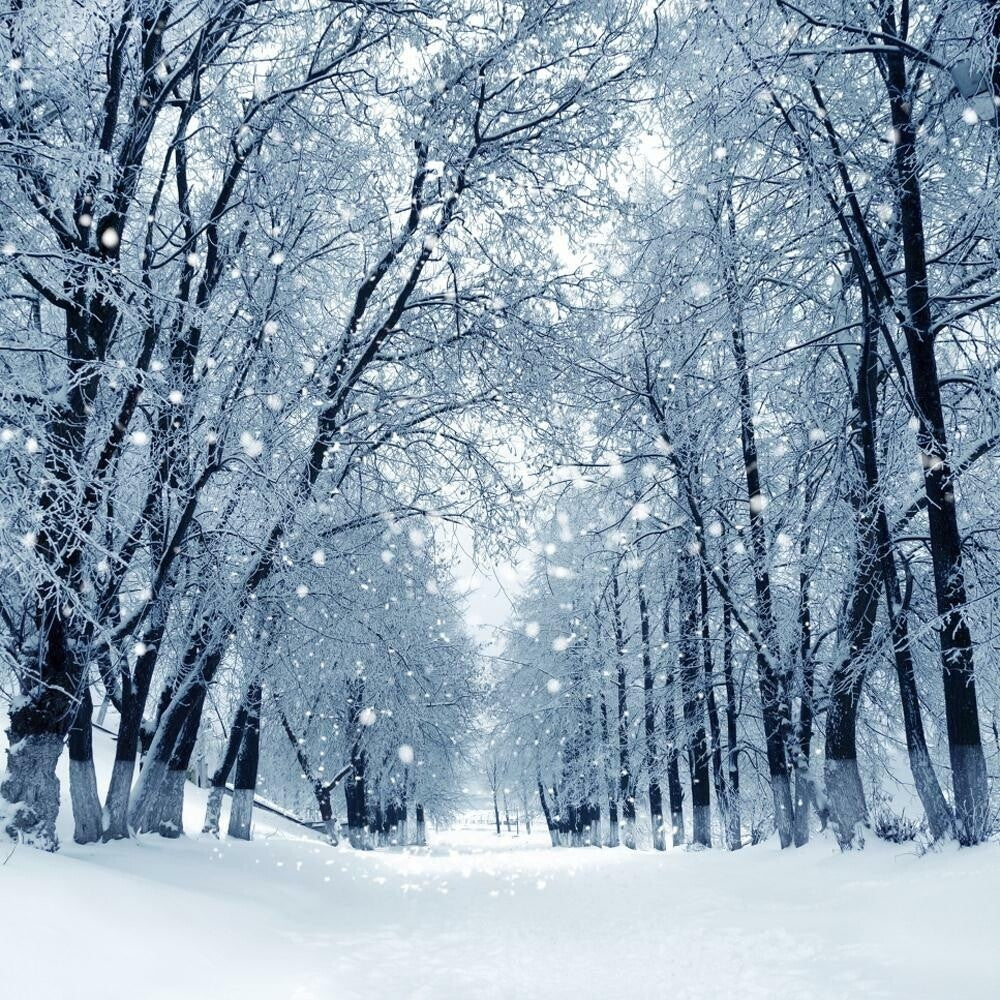 Winter Fragrance Oil