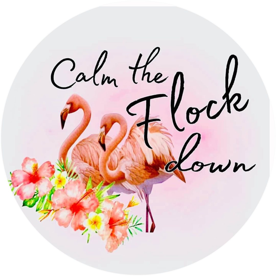 FUNNY SAYINGS SARCASM PHRASES CAR FRESHIE CARD STOCK  (CHOOSE IMAGE)