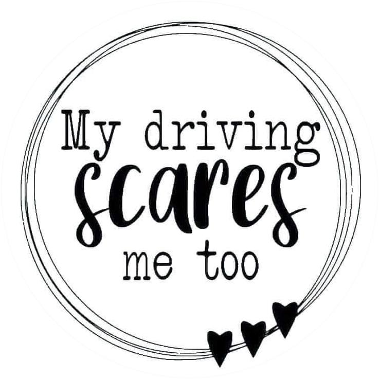 FUNNY SAYINGS SARCASM PHRASES CAR FRESHIE CARD STOCK  (CHOOSE IMAGE)