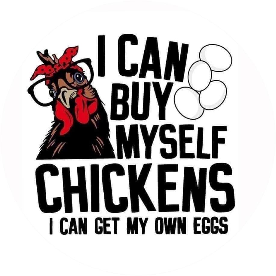 FUNNY SAYINGS SARCASM PHRASES CAR FRESHIE CARD STOCK  (CHOOSE IMAGE)