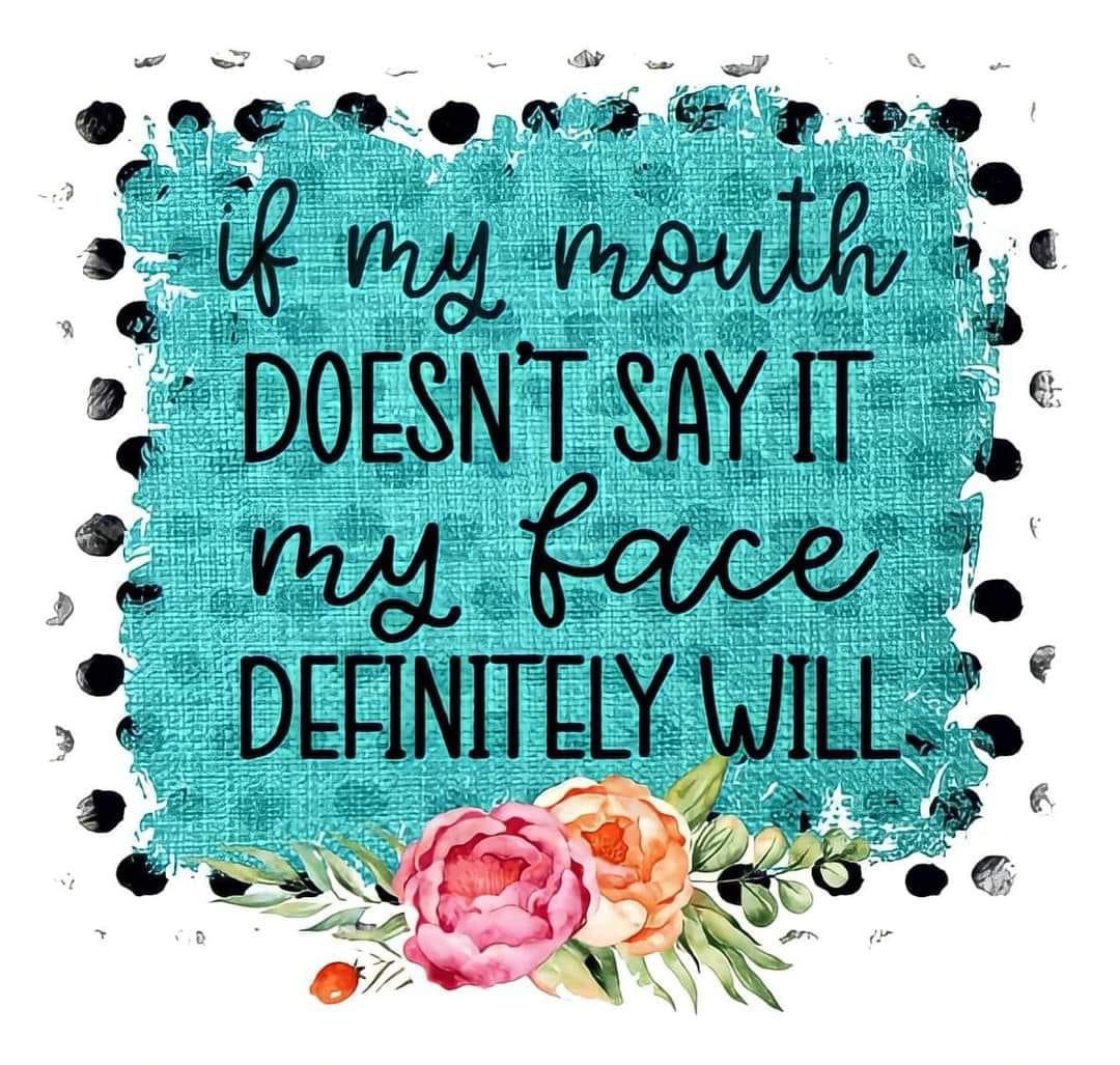 FUNNY SAYINGS SARCASM PHRASES CAR FRESHIE CARD STOCK  (CHOOSE IMAGE)