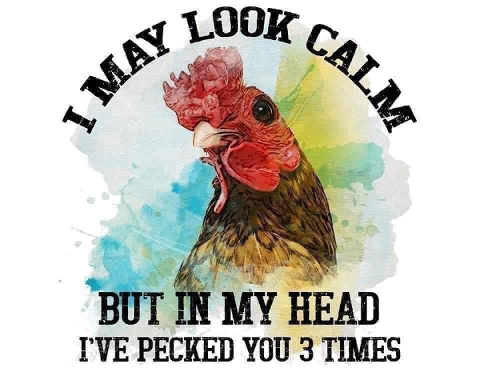 FUNNY SAYINGS SARCASM PHRASES CAR FRESHIE CARD STOCK  (CHOOSE IMAGE)