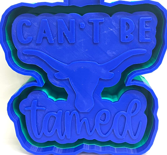 Can’t Be Tamed Texas Football Team Mold