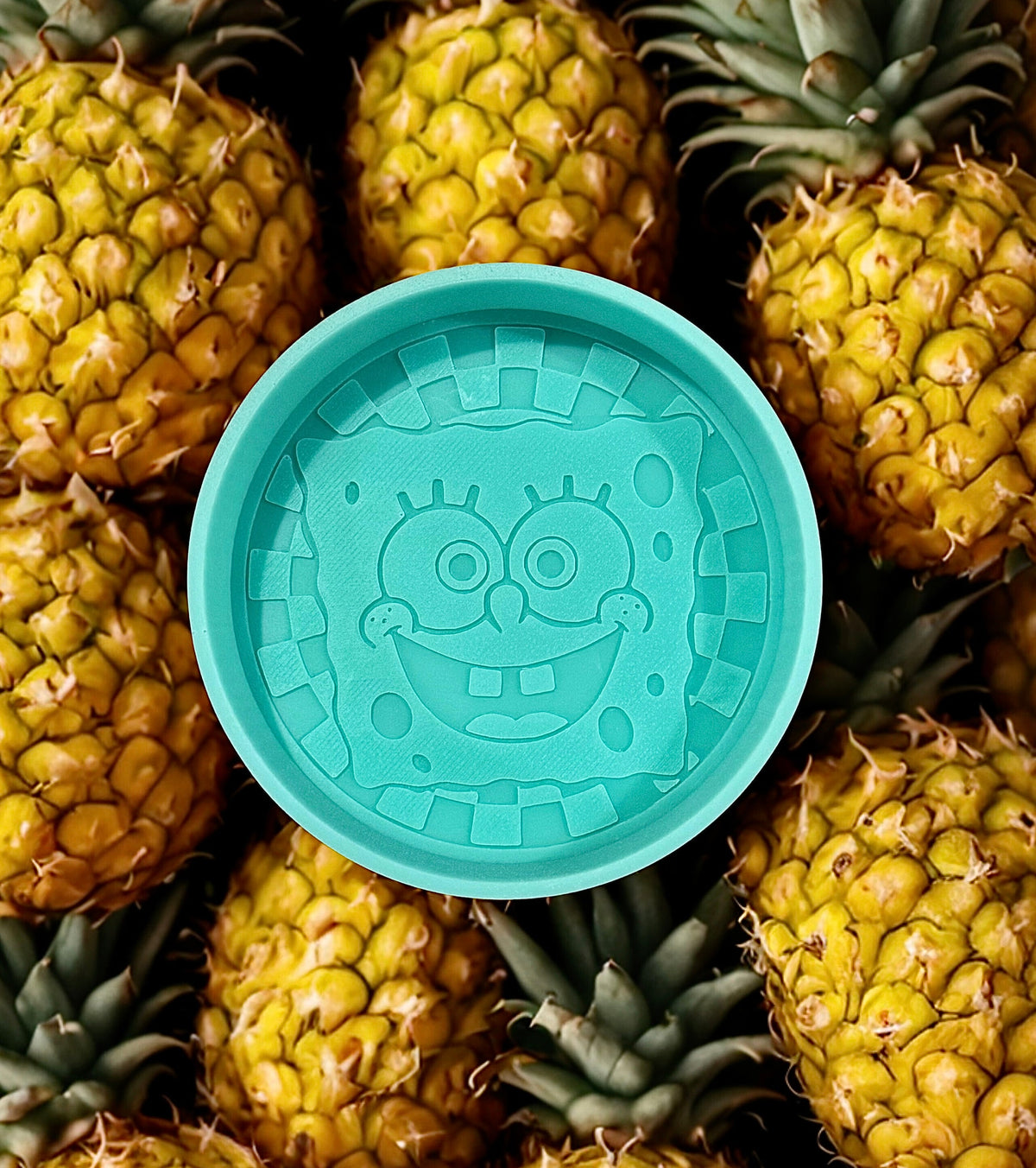 Sponge checkered round