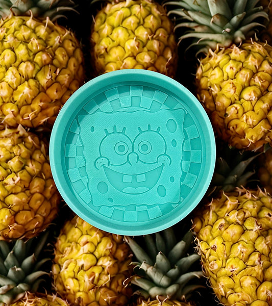 Sponge checkered round