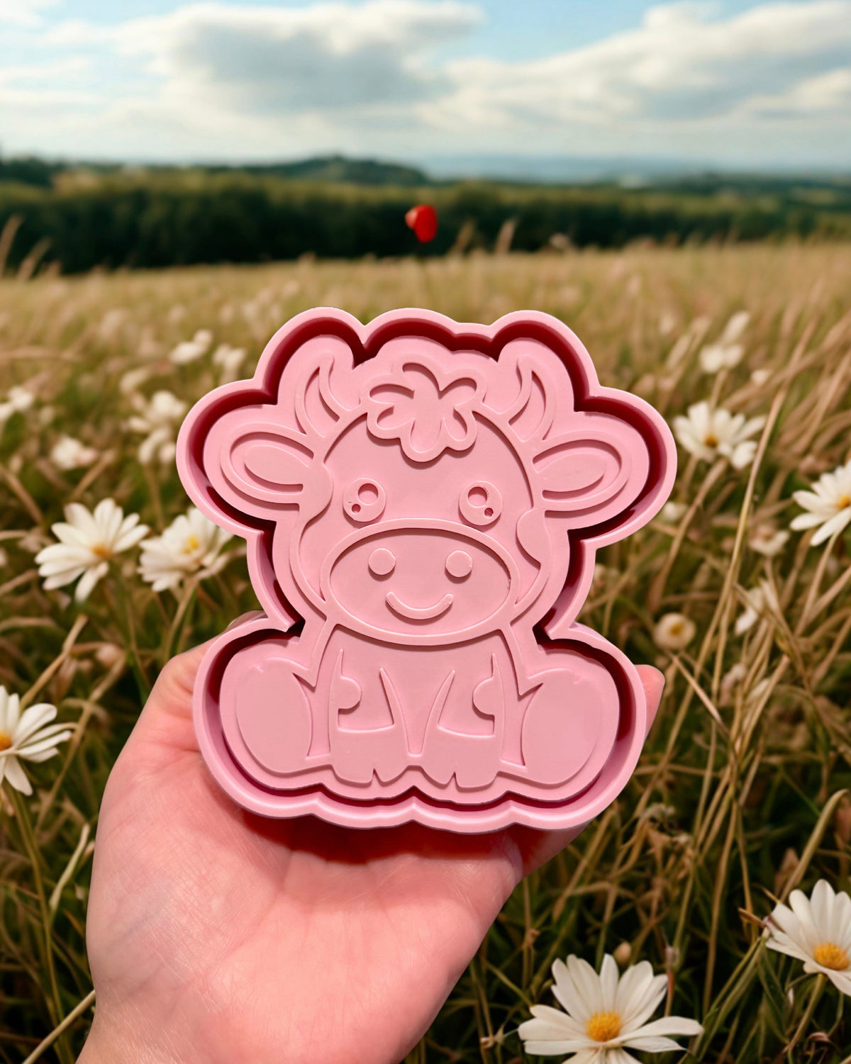 Cute cow