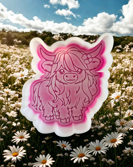 Highland cow exclusive