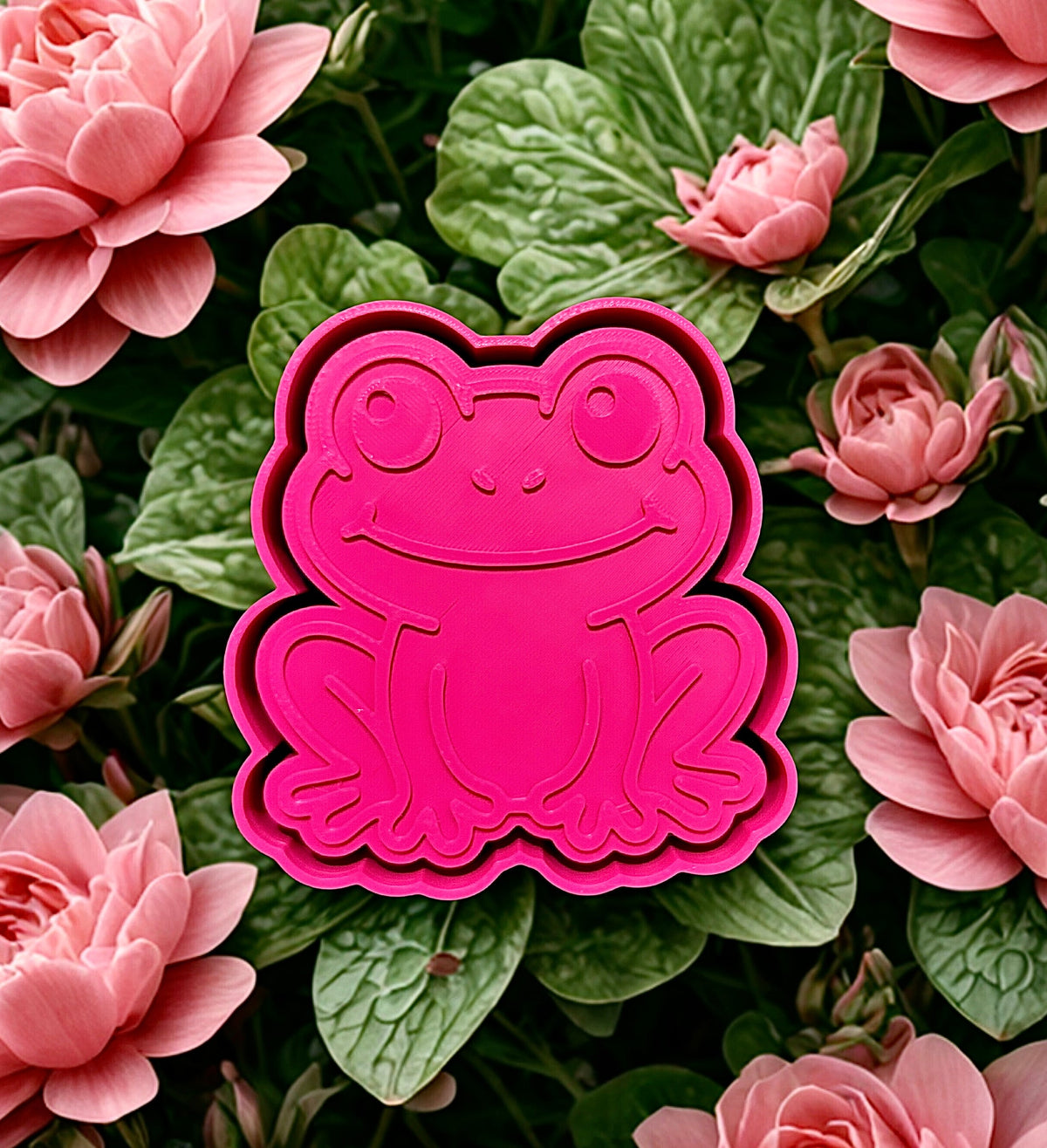Cute frog