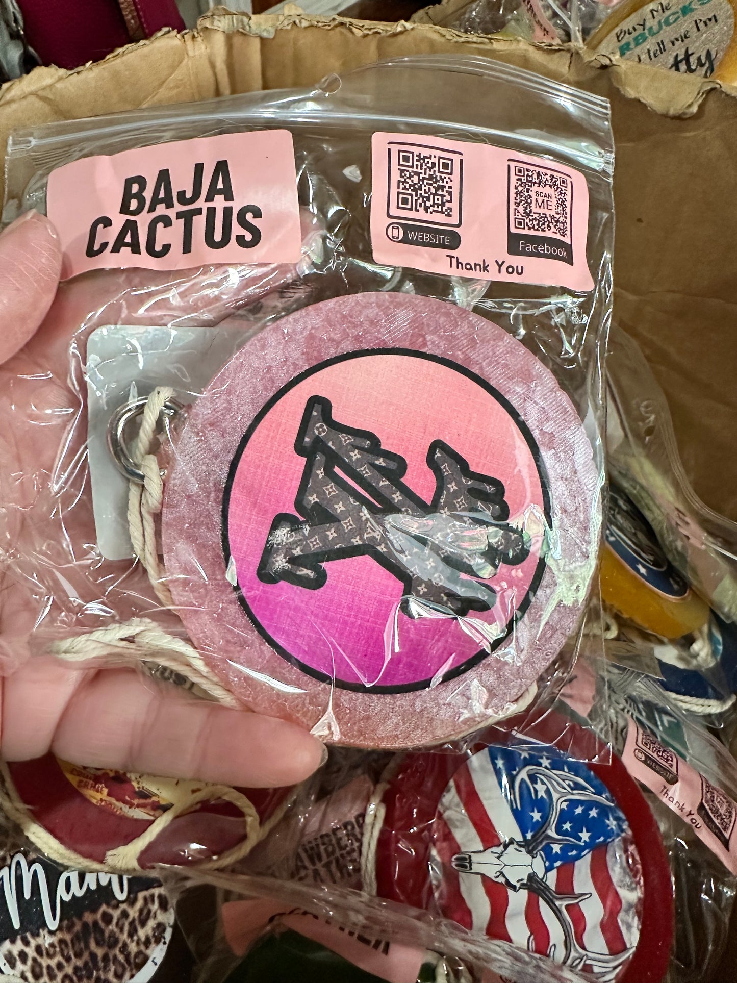 Baja Cactus