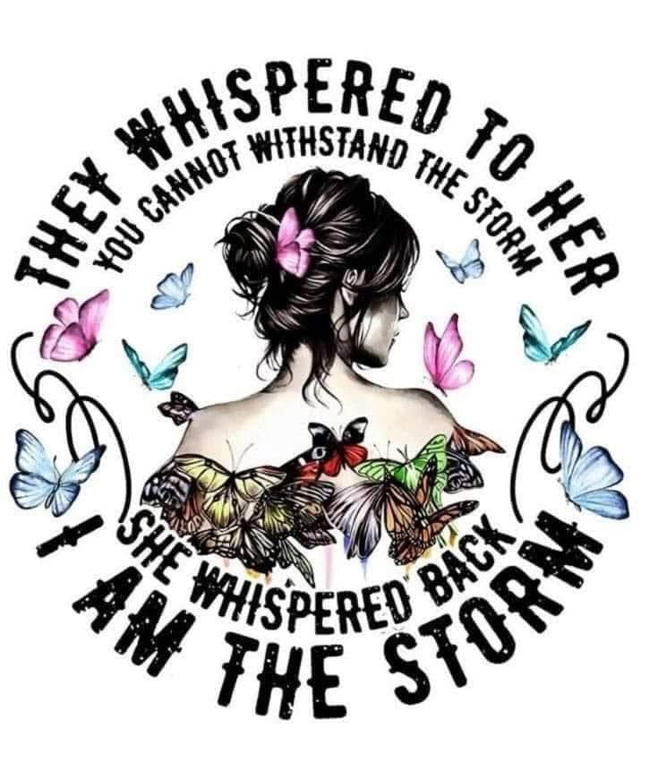 FUNNY SAYINGS SARCASM PHRASES CAR FRESHIE CARD STOCK  (CHOOSE IMAGE)