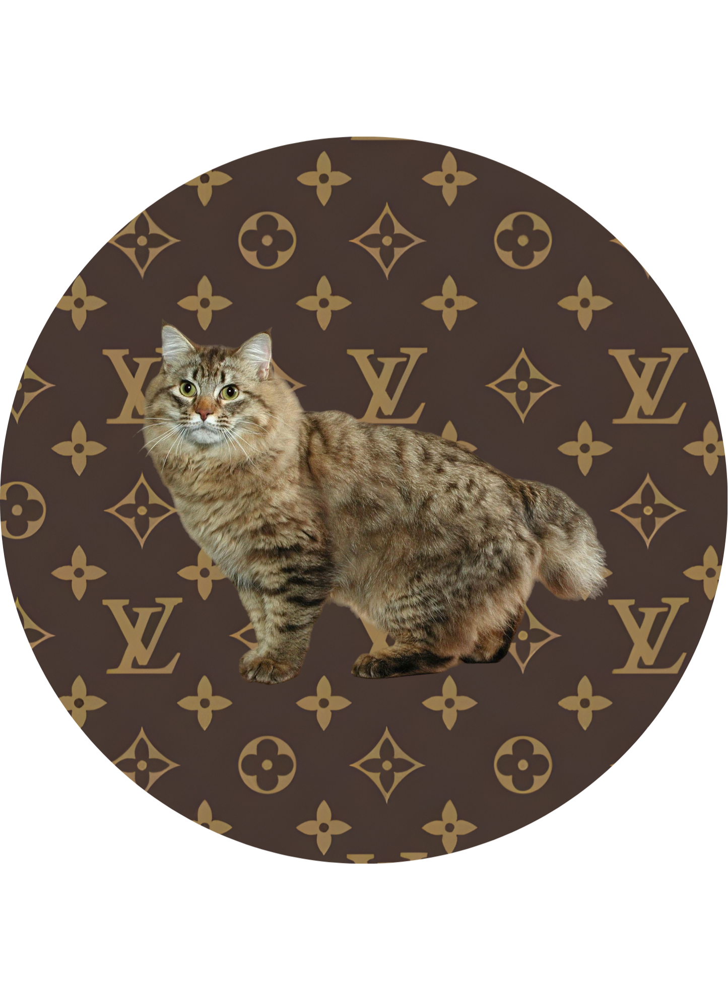DESIGNER WITH ANIMALS CAR FRESHIE CARD STOCK (CHOOSE IMAGE)