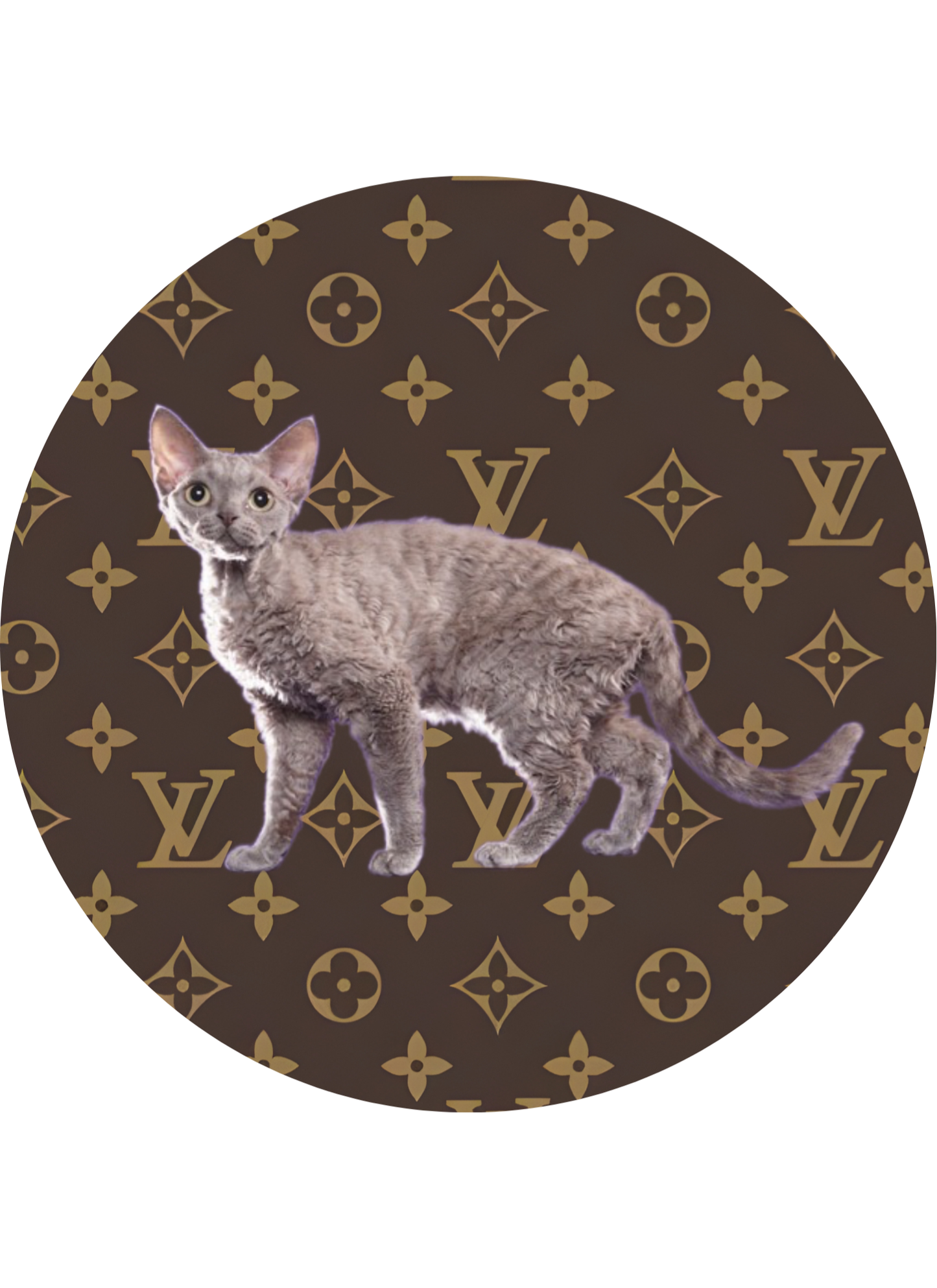 DESIGNER WITH ANIMALS CAR FRESHIE CARD STOCK (CHOOSE IMAGE)