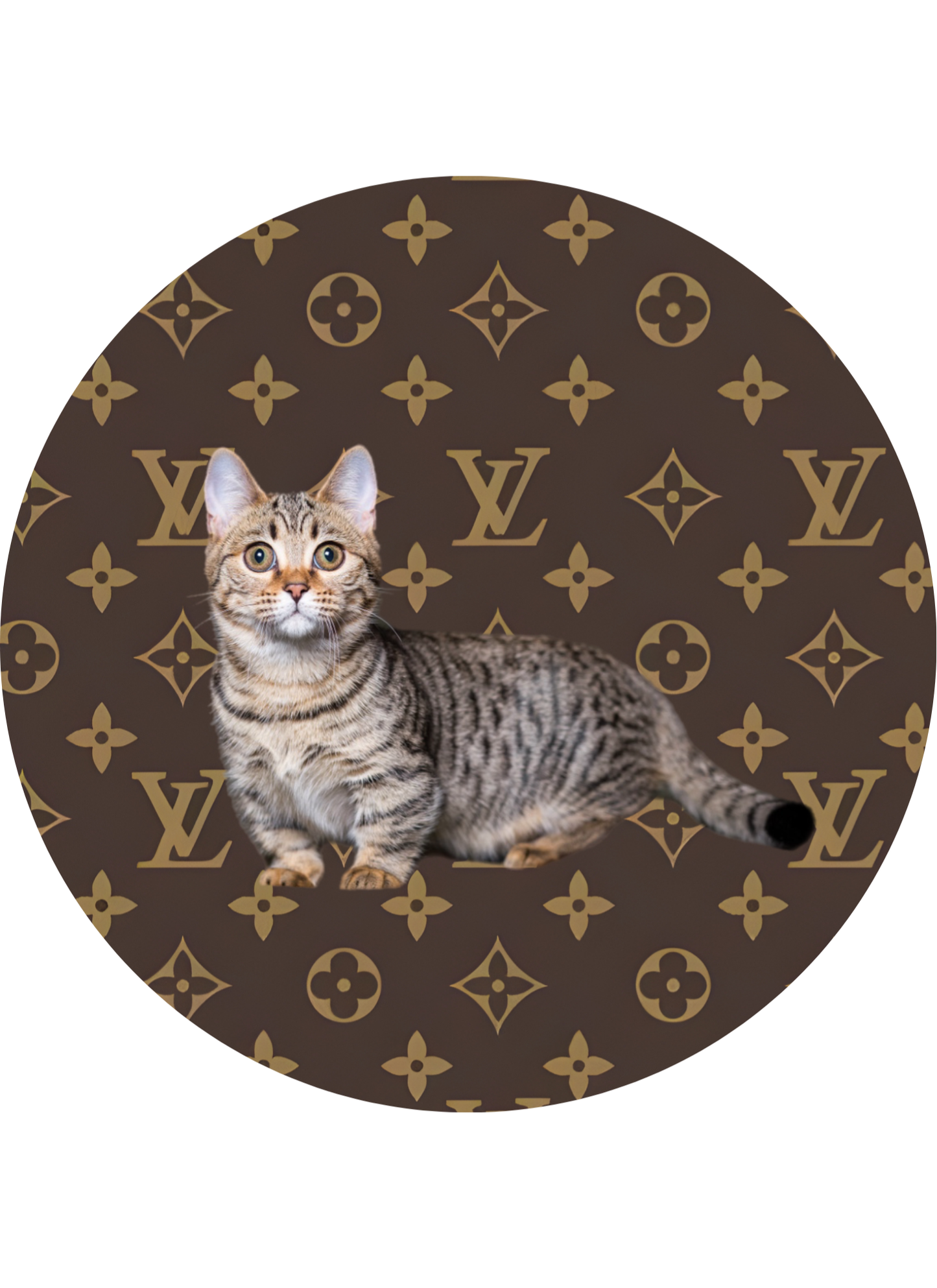 DESIGNER WITH ANIMALS CAR FRESHIE CARD STOCK (CHOOSE IMAGE)