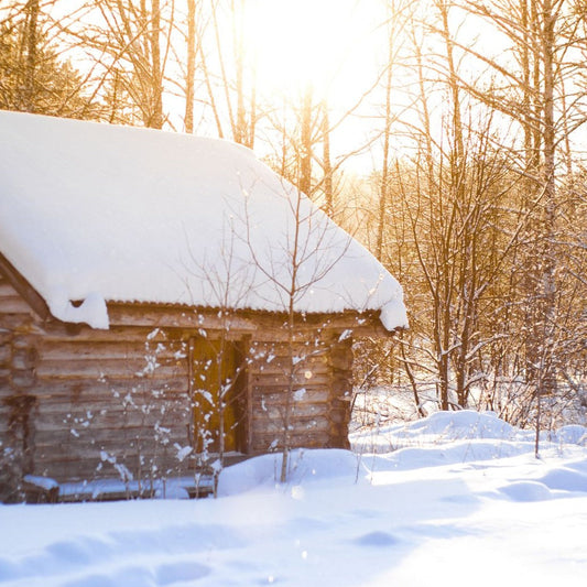 Winter Woods Fragrance Oil