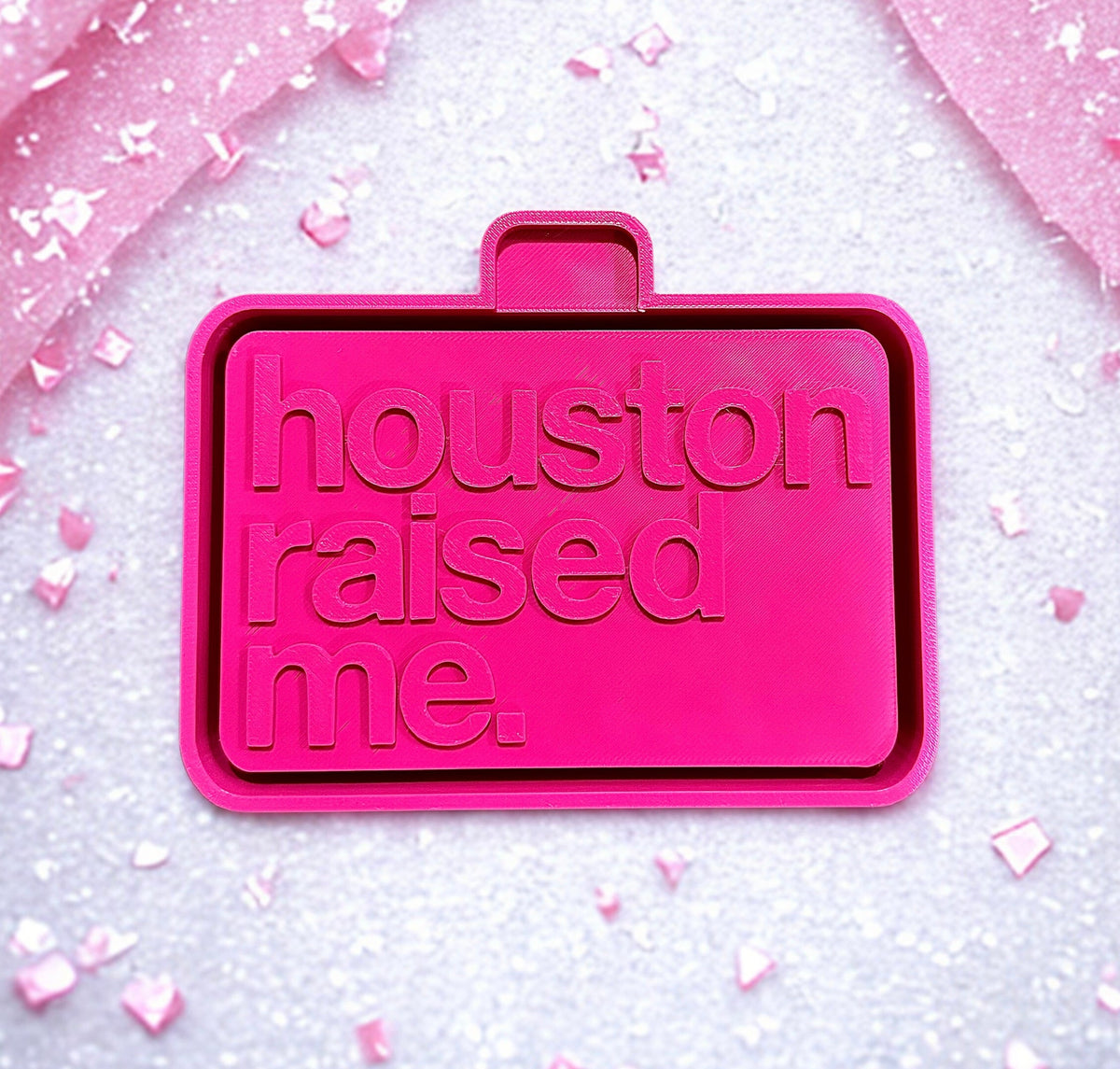 Houston raised me.