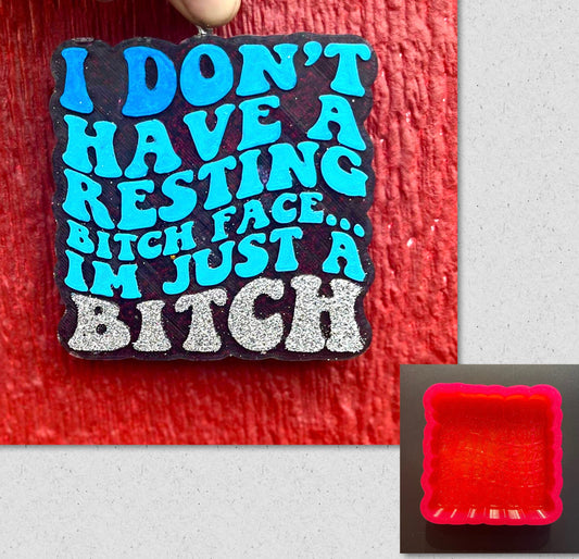 I Don't Have A Resting Bitch Face... I'm Just A Bitch Mold