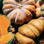 Pumpkin Harvest (SS) 1%