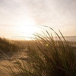 Bayside Breeze (Scented Beads)