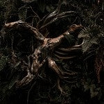 Drakkar Noir (SS) 30%