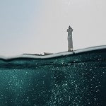 Bayside Marina (SS) 4.36%