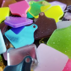 Cow Tag Acrylic