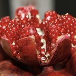 Pomegranate (SS) 80%*