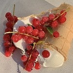 Cranberry Vanilla (Scented Beads)