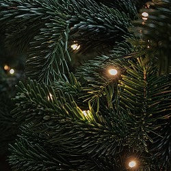 Christmas Lights (SS) 3%