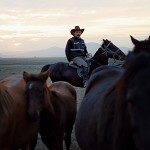 Ride 'em Cowboy (Scented Beads)