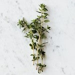 Thyme (Scented Beads)