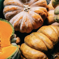 Pumpkin Harvest (SS) 1%