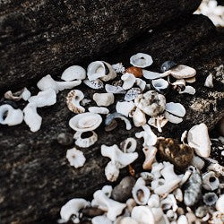 Sea Minerals (Scented Beads)