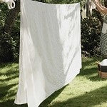 Clean Cotton (SS) 84%