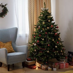 Christmas Tree (SS) 10%