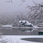 Winter Vacation (SS) 17%