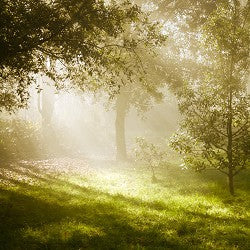 Enchanted Mist (Scented Beads)